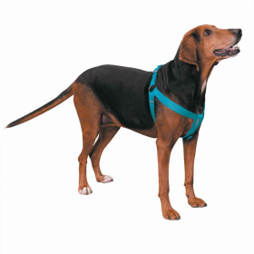 CC Nylon 2 Step Harness